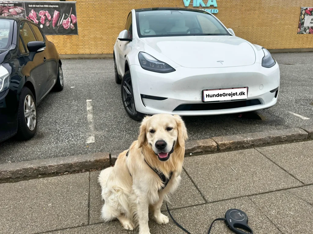 Buddy foran en model tesla model y