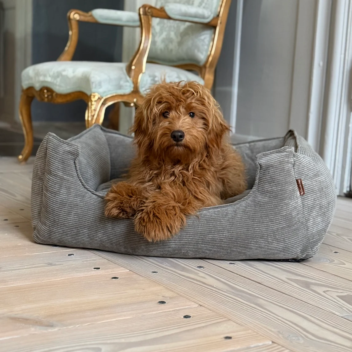 Billede af Elmer hundekurv (Grå) til Cockapoo