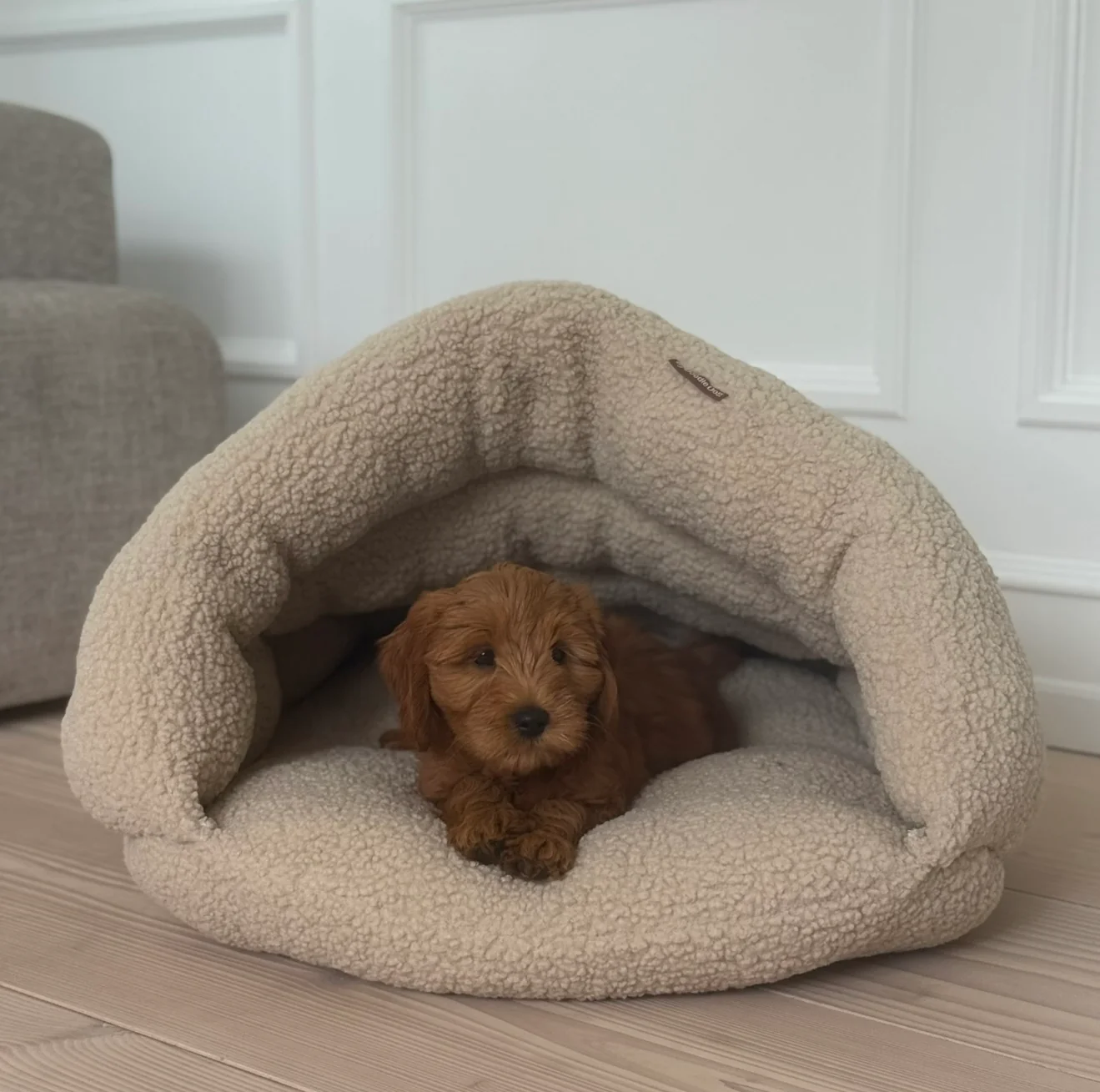 Billede af Elfe hule hundekurven til Jack Russell Terrier