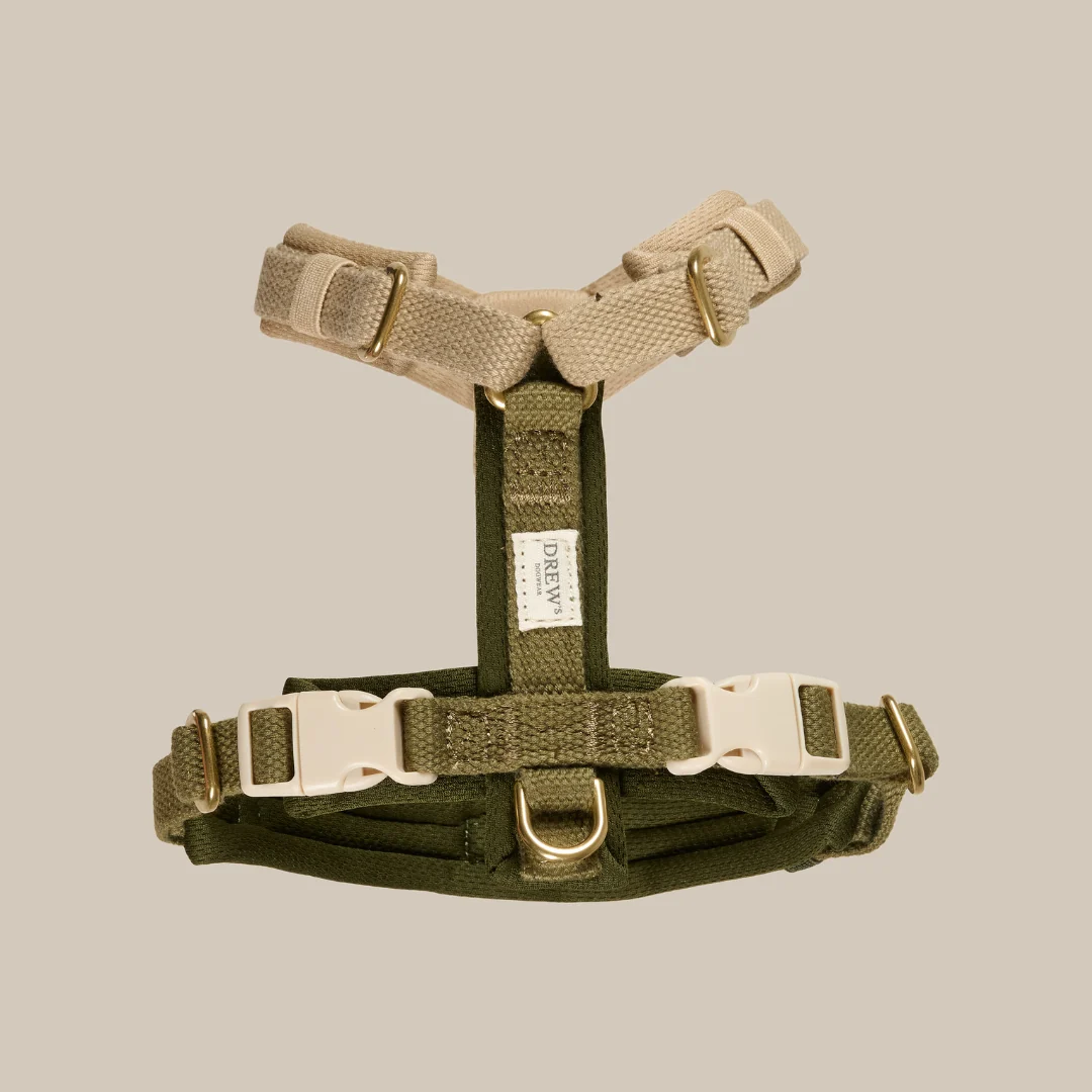 Bedste hundesele 2026 - Olive PRO blød og justerbar hundesele fra Drew’s Dogwear