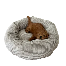 Lille brun hvalp ligger afslappet i en rund lysegrå donut hundeseng